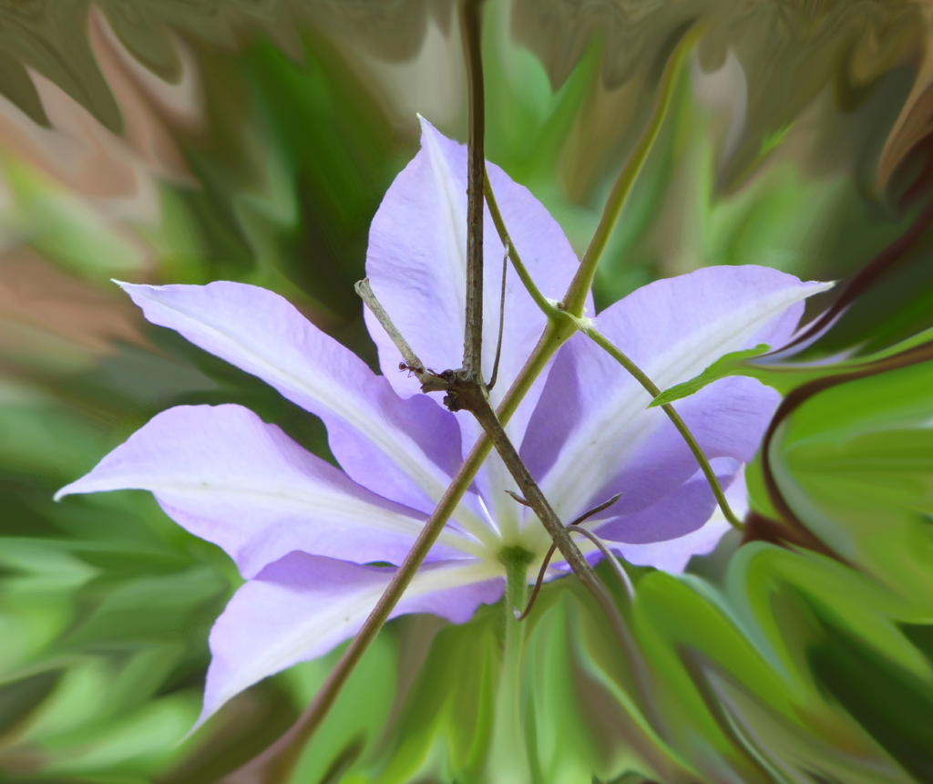 Digital - Burke, Jane