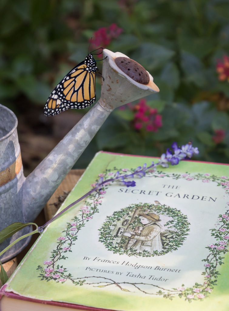 1st Place Still Life - Prosser, Lori