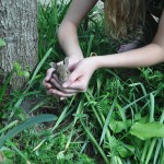 2nd Place - Wildlife